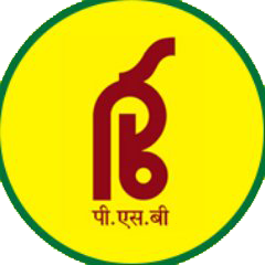 Punjab & Sindh Bank Logo